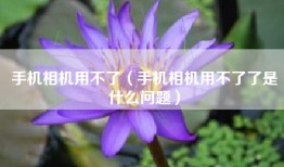 手机相机用不了（手机相机用不了了是什么问题）