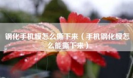 钢化手机膜怎么撕下来（手机钢化膜怎么能撕下来）