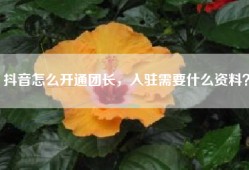抖音怎么开通团长，入驻需要什么资料？