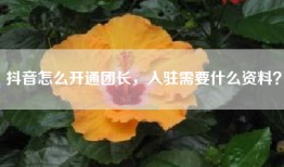 抖音怎么开通团长，入驻需要什么资料？