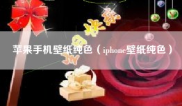 苹果手机壁纸纯色（iphone壁纸纯色）