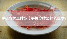 手机令牌是什么（手机令牌是什么意思？）