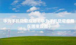 华为手机隐藏应用（华为手机隐藏应用在哪里设置）