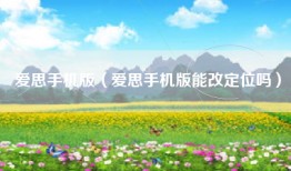 爱思手机版（爱思手机版能改定位吗）