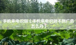 手机来电识别（手机来电识别不到广告怎么办）