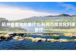 杭州百度优化是什么,杭州百度优化的重要性