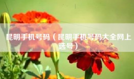 昆明手机号码（昆明手机号码大全网上选号）