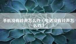 手机没有铃声怎么办（电话没有铃声怎么办）