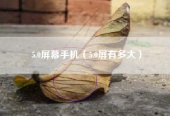 5.0屏幕手机（5.0屏有多大）