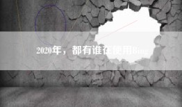 2020年，都有谁在使用Bing