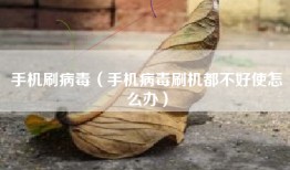 手机刷病毒（手机病毒刷机都不好使怎么办）