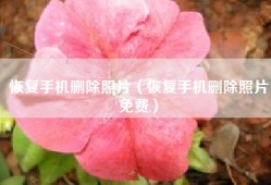 恢复手机删除照片（恢复手机删除照片免费）