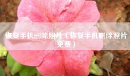 恢复手机删除照片（恢复手机删除照片免费）