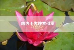 国内十大搜索引擎