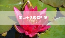 国内十大搜索引擎