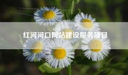 红河河口网站建设服务项目
