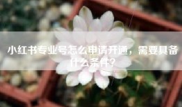 小红书专业号怎么申请开通，需要具备什么条件？