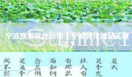 宁波搜索优化公司【宁波优化网站关键词】