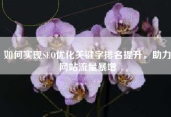 如何实现SEO优化关键字排名提升，助力网站流量暴增