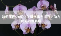 如何实现SEO优化关键字排名提升，助力网站流量暴增