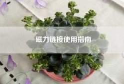 磁力链接使用指南