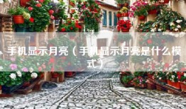 手机显示月亮（手机显示月亮是什么模式）