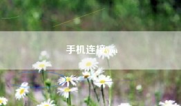 手机连接vpn