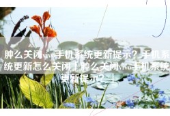 肿么关闭vivo手机系统更新提示？手机系统更新怎么关闭「肿么关闭vivo手机系统更新提示？」