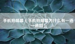手机拍屏幕（手机拍屏幕为什么有一道一道的）