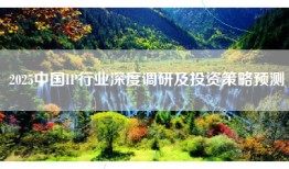 2025中国IP行业深度调研及投资策略预测