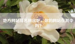 地方网站排名榜出炉，你的网站在其中吗？