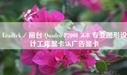 Leadtek／丽台 Quadro P2000 5GB 专业图形设计工作显卡5K广告显卡