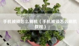 手机被锁怎么刷机（手机被锁怎么刷机教程）