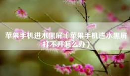 苹果手机进水黑屏（苹果手机进水黑屏打不开怎么办）