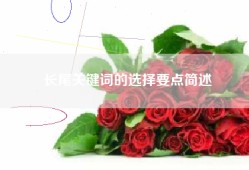 长尾关键词的选择要点简述