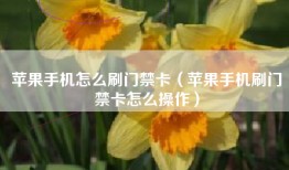 苹果手机怎么刷门禁卡（苹果手机刷门禁卡怎么操作）