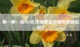 聊一聊：做SEO优化需要监控哪些数据指标？