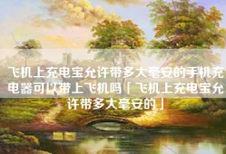 飞机上充电宝允许带多大毫安的手机充电器可以带上飞机吗「飞机上充电宝允许带多大毫安的」