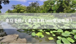 金立手机1（金立手机10000毫安电池）