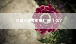 百度SEM搜索推广是什么？
