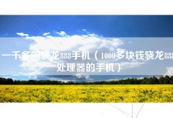一千多的骁龙888手机（1000多块钱骁龙888处理器的手机）