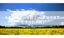一千多的骁龙888手机（1000多块钱骁龙888处理器的手机）