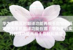 华为手机实时翻译功能两根手指轻松搞定华为手机翻译功能在哪「华为手机实时翻译功能两根手指轻松搞定」