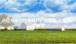 小红书核心代理商开户代运营 ｜ 专注广告投放