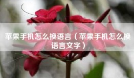 苹果手机怎么换语言（苹果手机怎么换语言文字）
