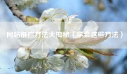 网站推广方法大揭秘（学会这些方法）