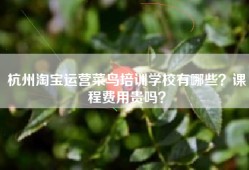 杭州淘宝运营菜鸟培训学校有哪些？课程费用贵吗？
