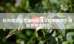 杭州淘宝运营菜鸟培训学校有哪些？课程费用贵吗？