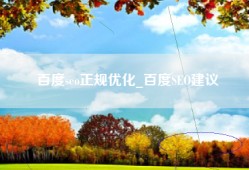 百度seo正规优化_百度SEO建议