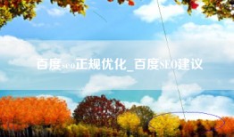 百度seo正规优化_百度SEO建议